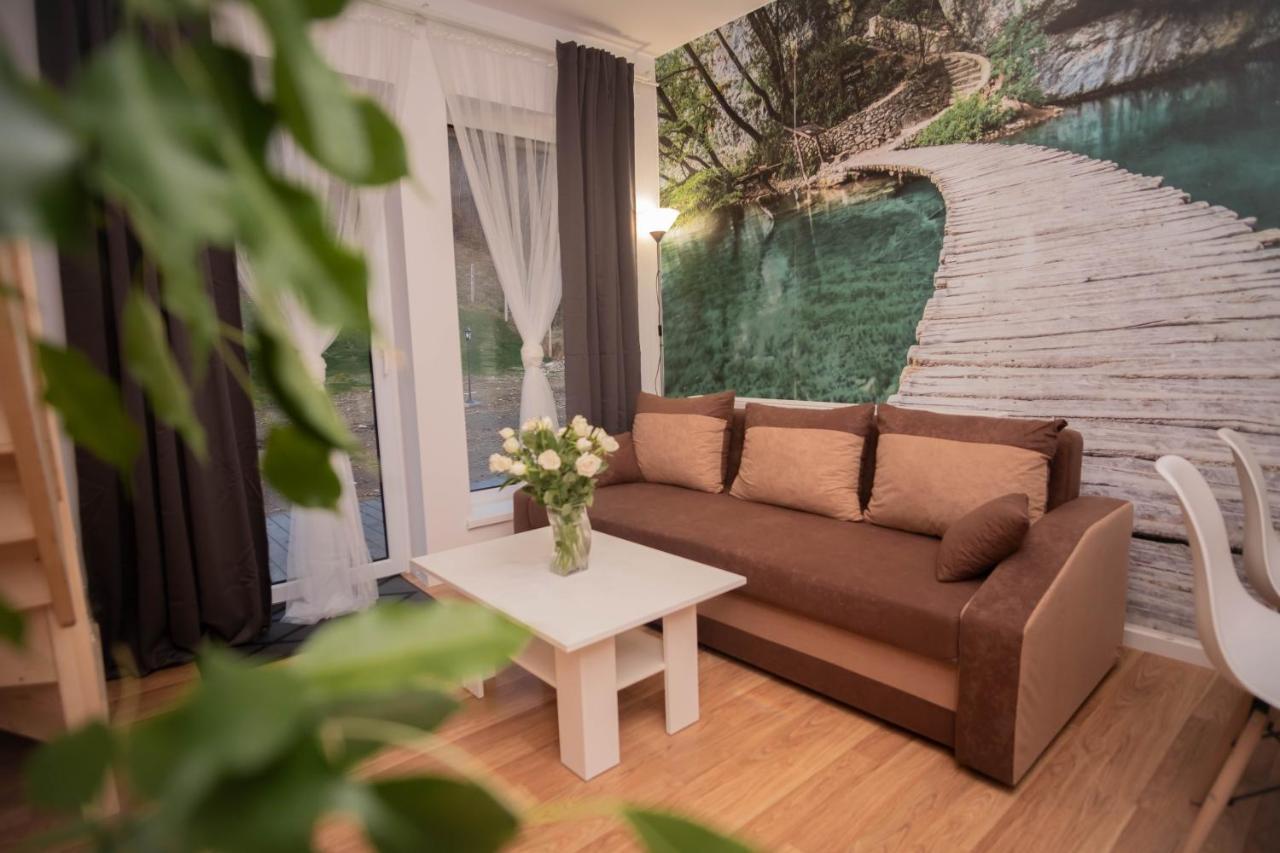 Apartamenty Goszowita Stronie Slaskie Exterior photo